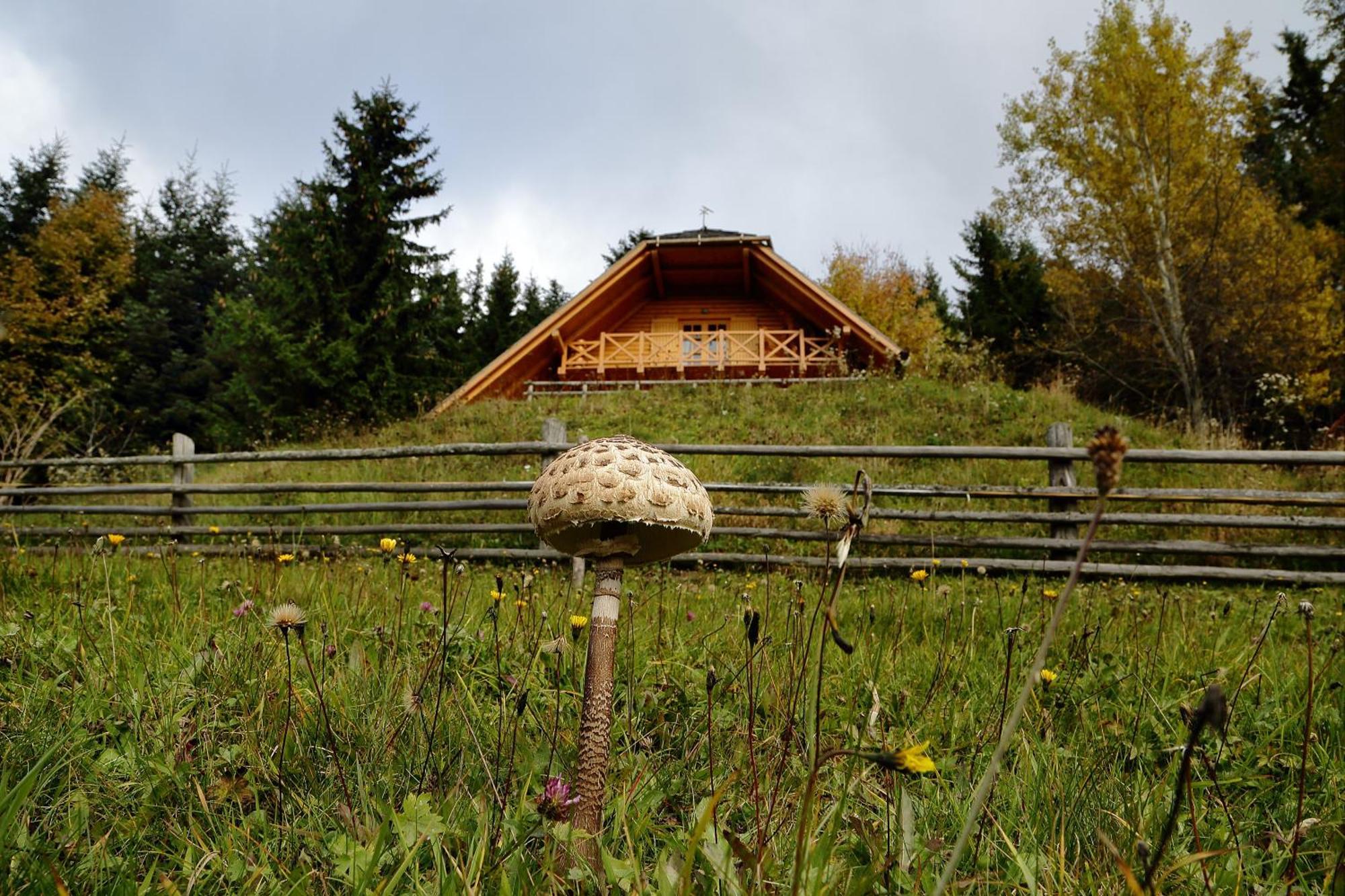 Charming Chalet Rogla Hudinja Exteriör bild
